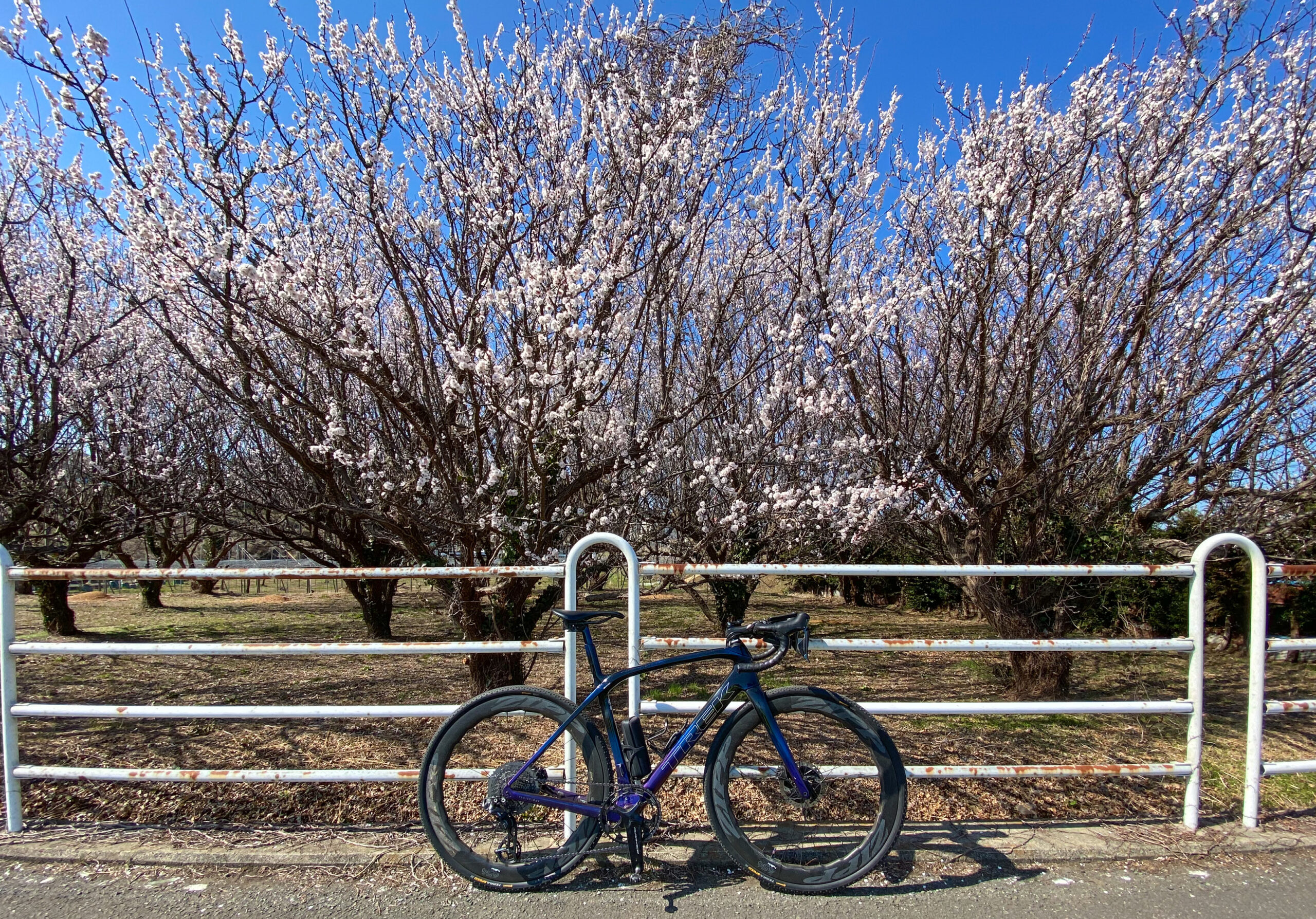 新生活にオススメ！軽量クロスバイク入荷しました‼︎ | COGGEY