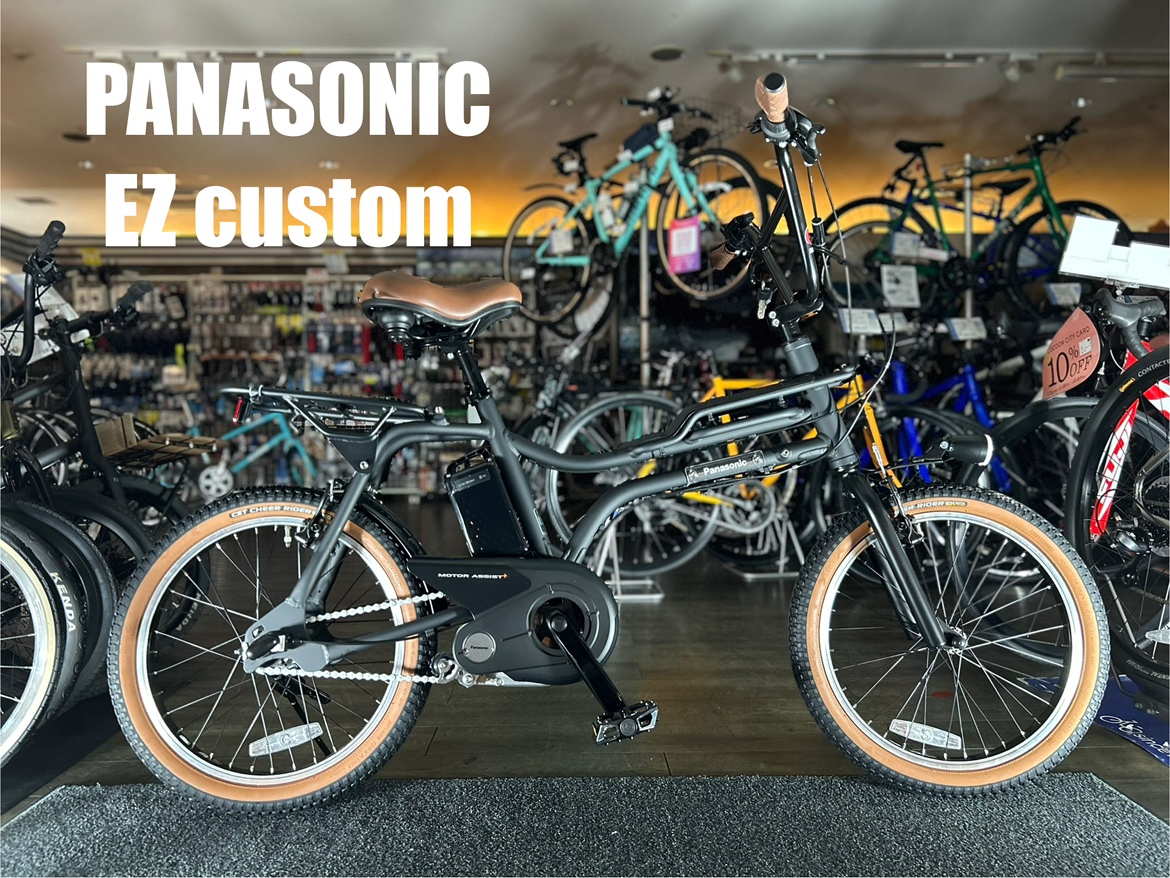 PANASONIC EZ custom